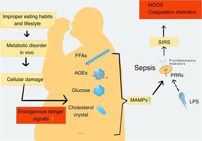 The Novel Role of Metabolism-Associated Molecular Patterns in Sepsis